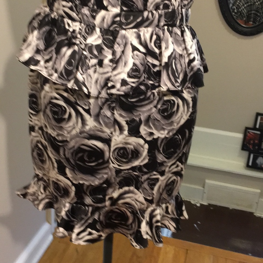 Kate Young for Target Roses & Ruffles Dress - Picture 6 of 8